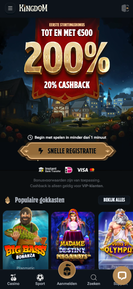 Kingdom Casino screenshot 0