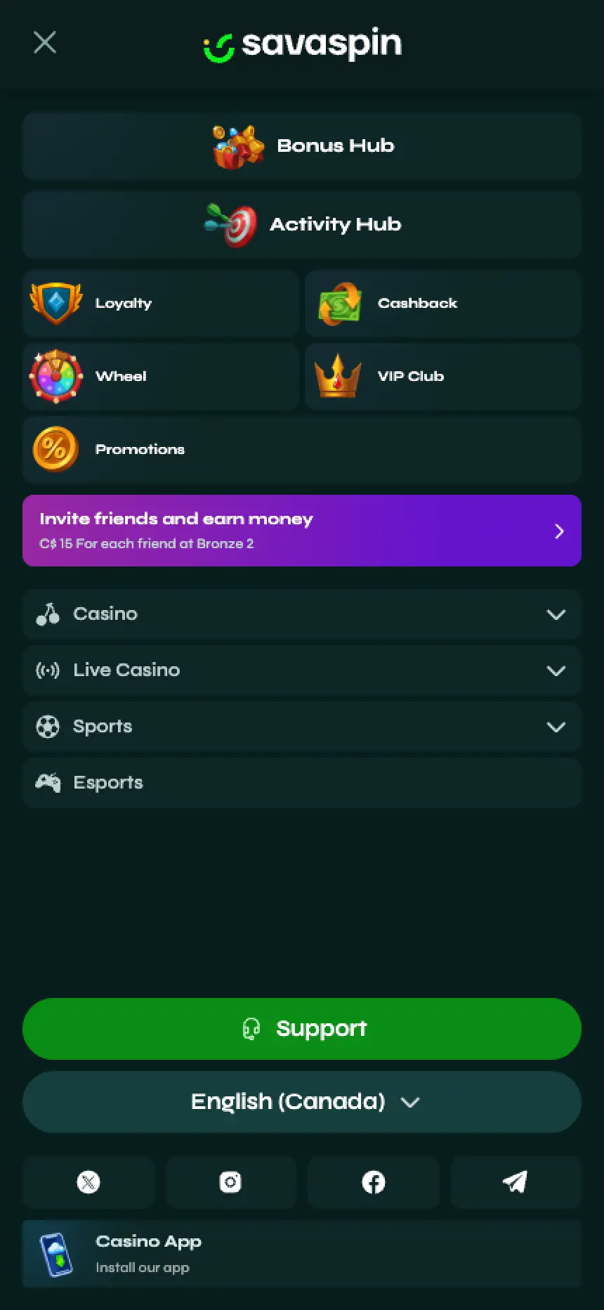 Savaspin screenshot 1